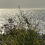 빌라 La